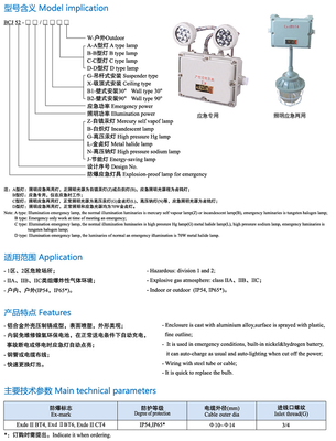 BCJ52防爆LED应急灯(IIB、IIC) 守护工业安全的高效照明利器